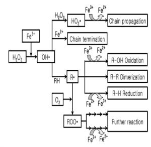 펜톤산화에 의해 생성된 OH radical의 유기물 분해 및 중간생성물과의 반응 경로