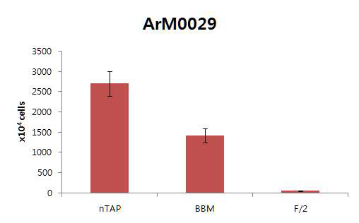 ArM0029의 배지별 성장률 측정