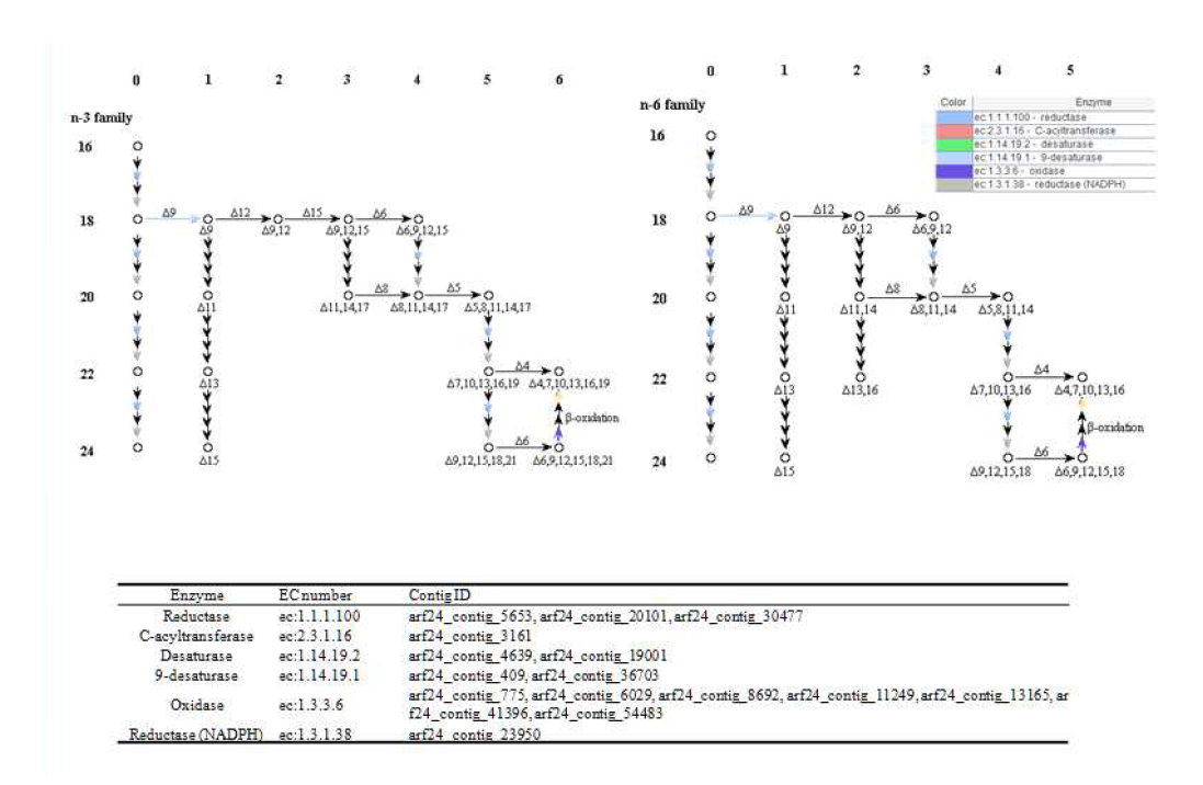 ArF0024 미세조류 균주의 불포화 지방산 합성 관련 유전자를 대상으로 한 Blast2GO에 의한 KEGG mapping