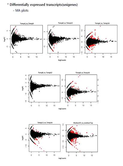 ArM0029C의 온도별 전사체 RNA-Seq의 intensity-dependent ratio를 비교한 MA plots