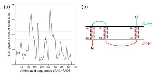AChFAD6의 생체막 내 위치하는 아미노산 구획 분석