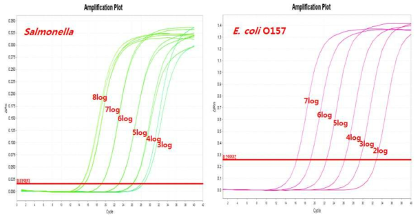 IMS 후 Real-time PCR 검출한계 확인실험 일부