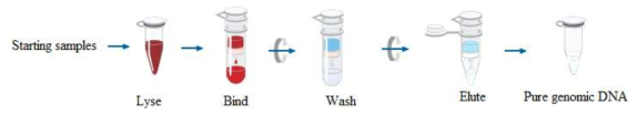 The protocol of the normal commercial DNA extraction kit