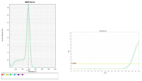 토마토. Amplification plot and melt curve for detection of B. cereus with DNA extracted from inoculated tomato by two kits, PrepMan kit and DNeasy mericon Food Kit
