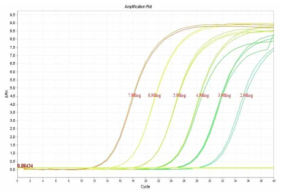 Amplification curves of S.aureus with the real time PCR.