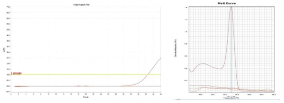 Amplication plot and melt curve for L. monocytogenes in lettuce.