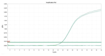Shigella spp.의 amplification plot 확인