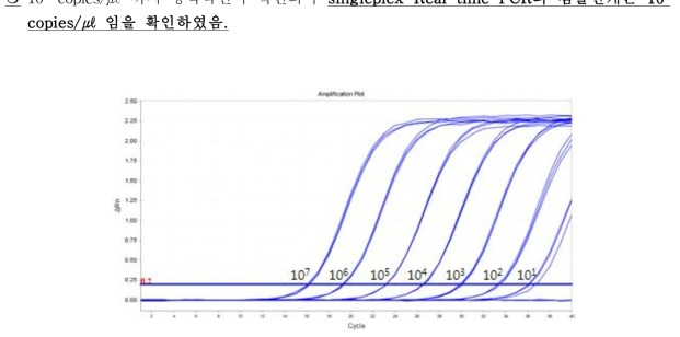 Listeria monocytogene 프라이머 및 프로브의 검출한계 확인