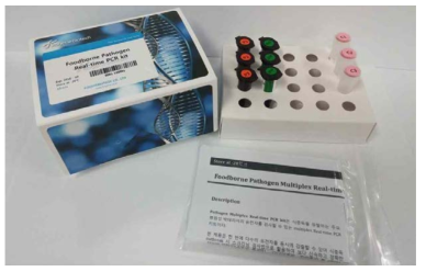 Foodborne Pathogen Mutliplex Real-time PCR Kit의 외형 및 구성품