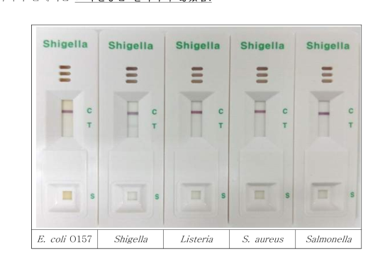 Shigella kit에 다른 균주 교차반응 테스트