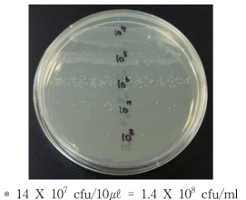 Listeria 양성검체의 검체전개액 및 배양액 감도 비교 및 한계검출 테스트