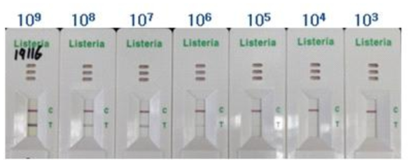 Listeria monocytogenes kit의 검출한계 테스트