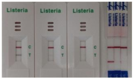 Listeria monocytogenes kit의 NEOGEN 사 제품과 비교
