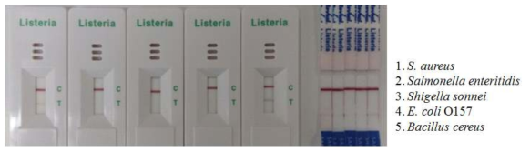 Listeria monocytogenes kit의 특이도 테스트