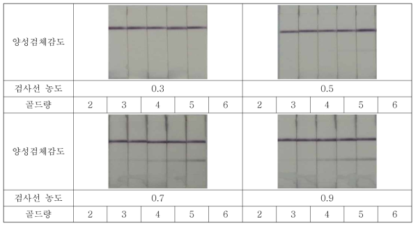 E. coli의 검사선 및 금-축합골드량 별 양성감도 테스트