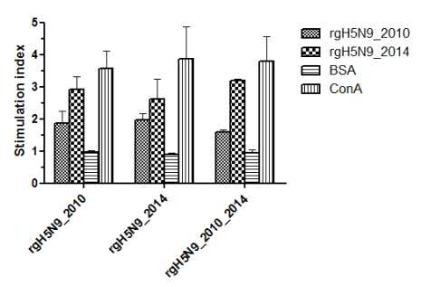 Lymphocyte Proliferation Assay