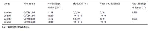 rH5N3로 vaccination한 닭의 공격접종 결과