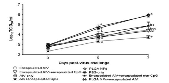 H9N2 공격접종 후 그룹별 virus shedding 양 측정 결과