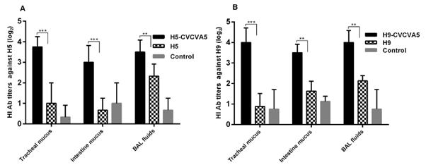 3wpv에 H5, H9 항원에 대한 점막항체 정량 결과