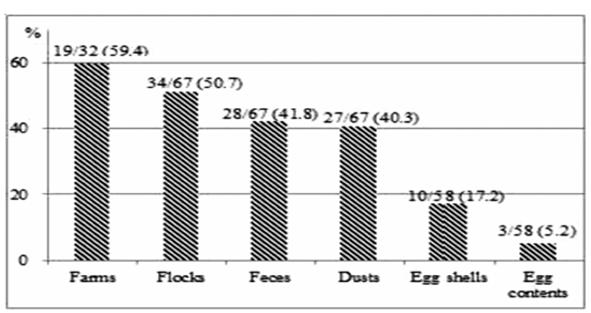 산란계 농장과 계군에서의 Salmonella Prevalence