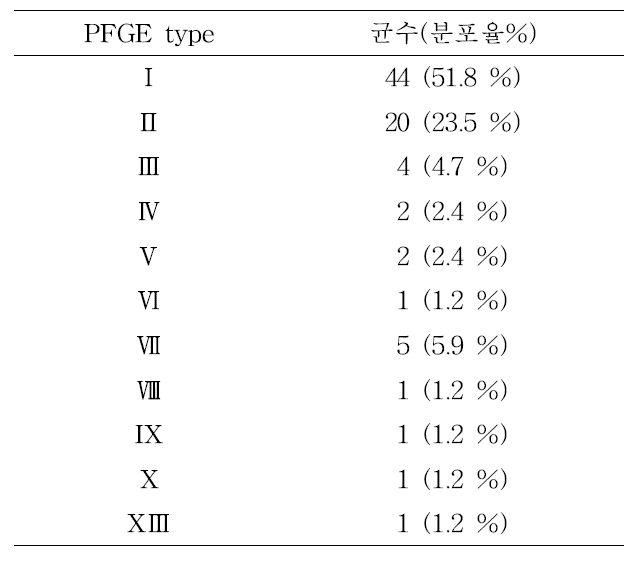 S. Typhimurium의 PFGE 패턴별 분포