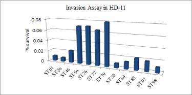 Pathogenicity of Salmonella Typhimurium isolates in HD-11 cells