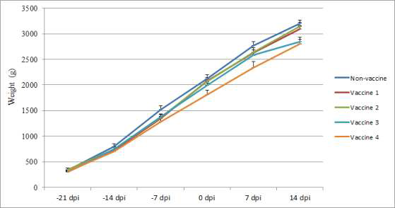 Effects of S. Typhimurium vaccines on body weight