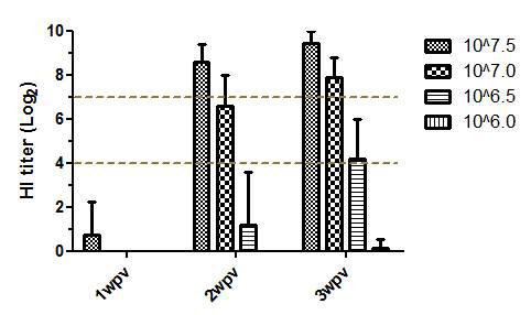 H5N9 백신의 닭에서 최소면역원성 평가