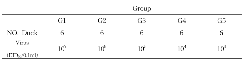 오리의 분류와 바이러스 감염 농도 설정 및 시험 방법
