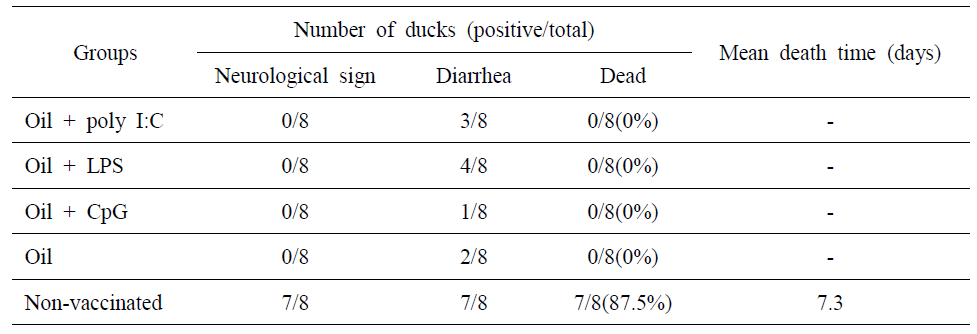 H5N9 RG 감염 후 임상증상 및 폐사율