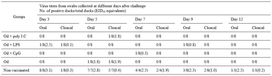 오리 백신 후 감염 시 바이러스 배출 측정 결과