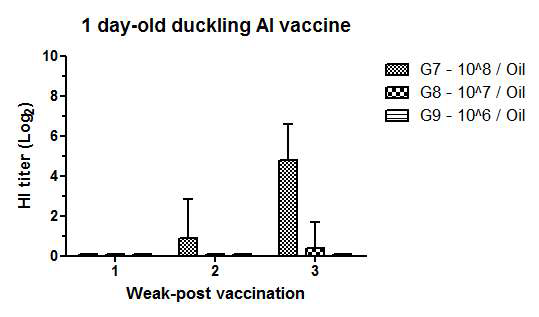 1일령 오리의 오일어주번트 백신 후 항체 역가 측정 결과