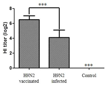 H9N2 백신 및 감염 이후 H9N2에 대한 항체 역가