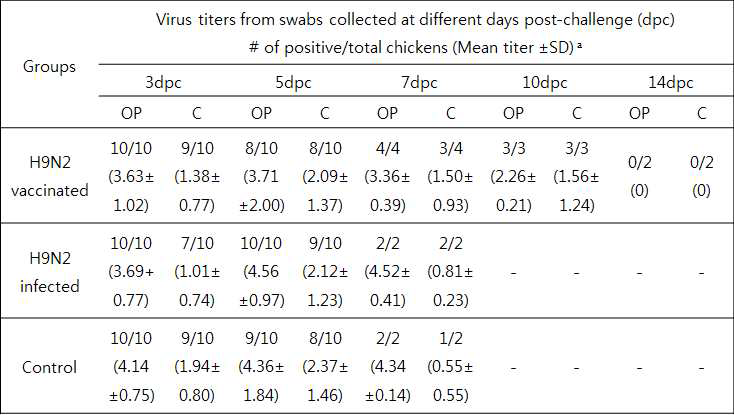 H5N8 공격접종 후 바이러스의 배출량 확인