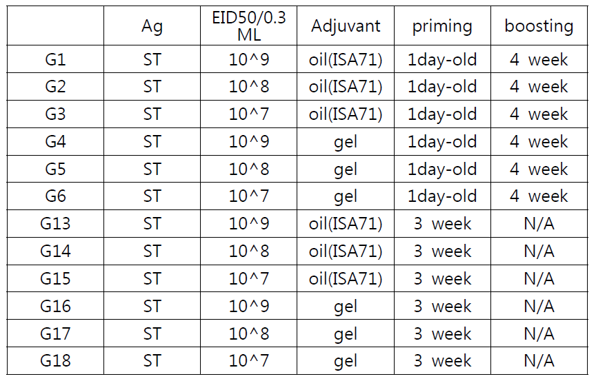시험 그룹 설정, 백신 조성 및 실시 방법