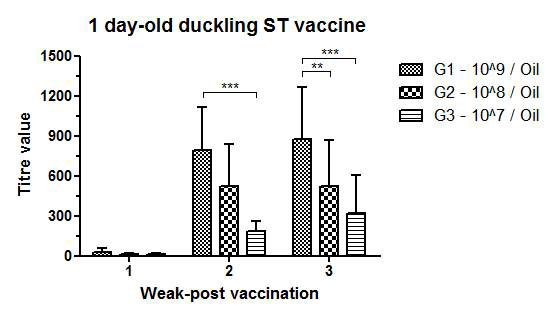 1일령 오리 살모넬라 Oil 어주번트 백신 후 1, 2, 3주차 살모넬라 항체 역가