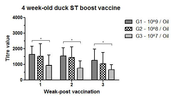 4주령 오리 살모넬라 Oil 어주번트 부스팅 백신 후 1, 2, 3주차 살모넬라 항체