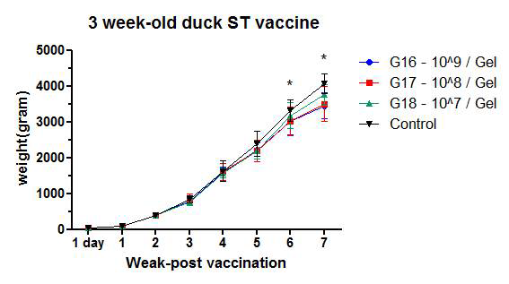 3주령 오리 살모넬라 Gel 어주번트 백신 후 1, 2, 3, 5, 6, 7주차 체중