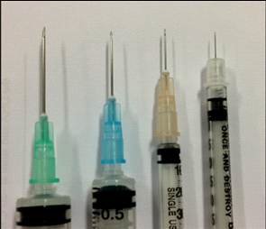 피내 백신 접종에 이용한 니들의 크기 비교(가장 오른쪽 31G 니들)