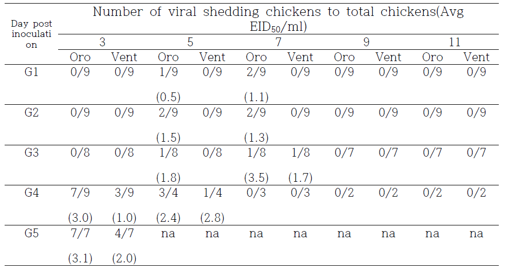 접종 후 3, 5, 7, 9, 11일 째 바이러스 배출 개체수