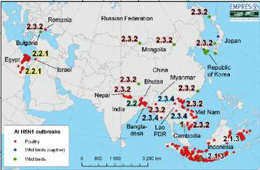 HPAI H5N1 clade 분포 양상.
