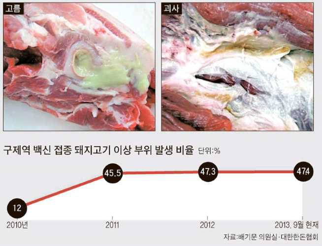 현재 시판되고 있는 iFMDV 상용 백신의 문제인 이근부 주사부위 화농