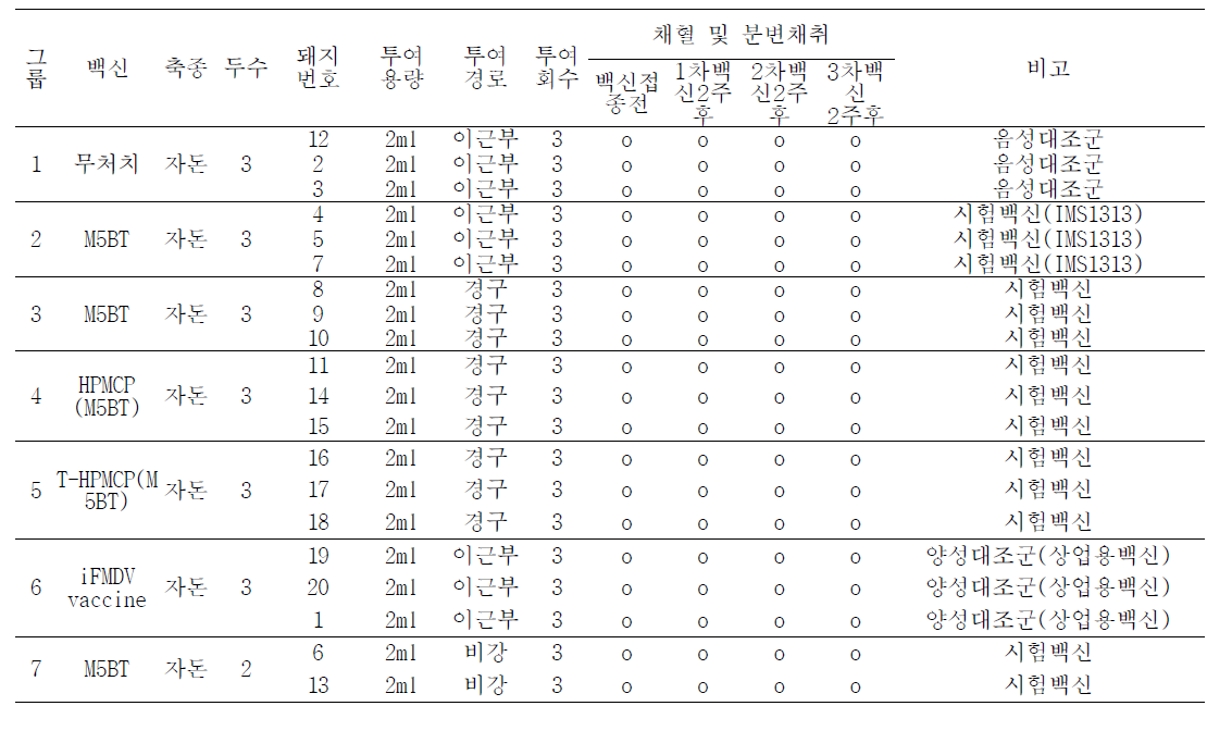 대장균 생산 단백질 및 유산균생산 FMD항원접종 후 자돈에서의 면역형성 실험계획