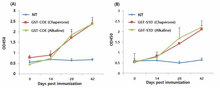 (A) GST-COE 항원 특이적 항체 시간에 따른 생산 역가, (B) GST-S1D 항원 특이적 항체 시간에 따른 생산 역가