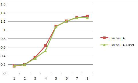 L.lactis-IL6, L.lactis-IL6-CKS9의 growth curve