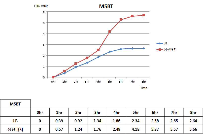 M5BT 생산 대장균 고농도 배양 최적화