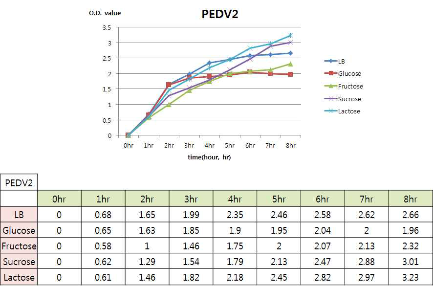 PEDV2 생산 대장균의 탄소원에 따른 생장률 변화
