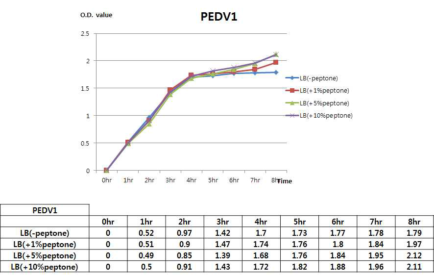 질소원에 따른 PEDV1 단백질 생산 대장균 생장효과