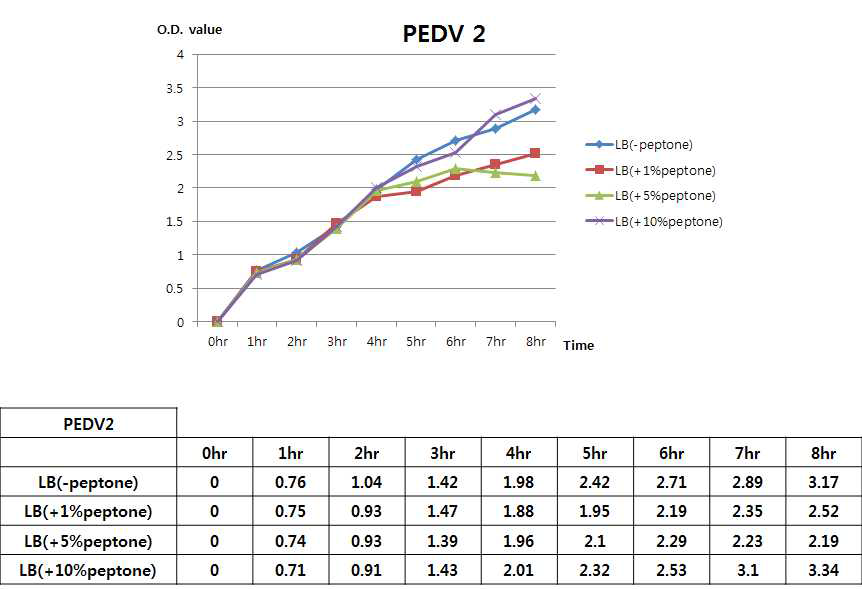 질소원에 따른 PEDV2 단백질 생산 대장균 생장효과