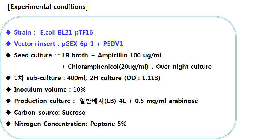 PEDV1 단백질 대량 생산을 위한 배양 조건